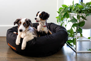 BULLYMAKE Bed – Black – Medium