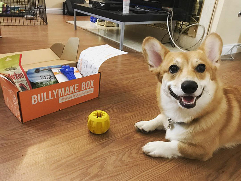 Toys & Treats Box - 12 Month Subscription