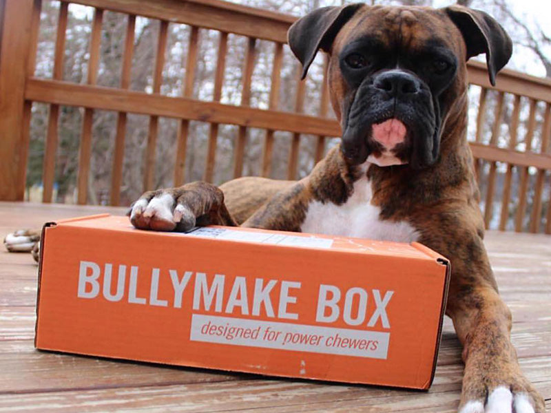 Toys & Treats Box - 12 Month Subscription