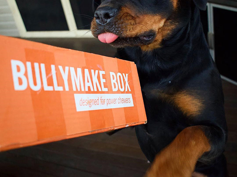 Toys & Treats Box - 12 Month Subscription