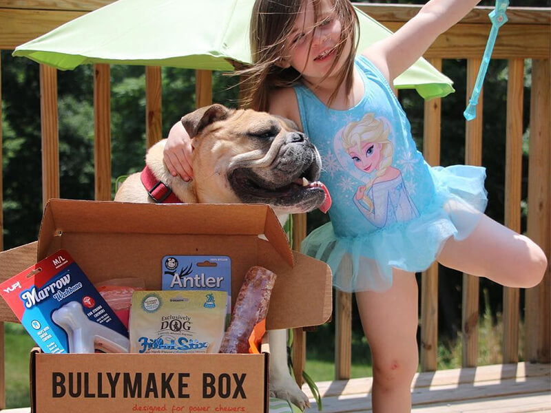 Toys & Treats Box - 12 Month Subscription